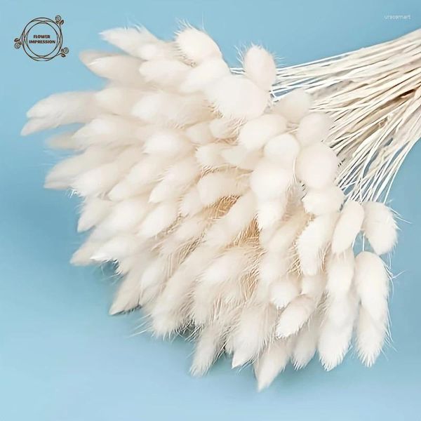 Flores decorativas Tailas naturais Flor seca decoração boho decoração lagurus ovatus coting capitão de grama de casamento decoração caseira