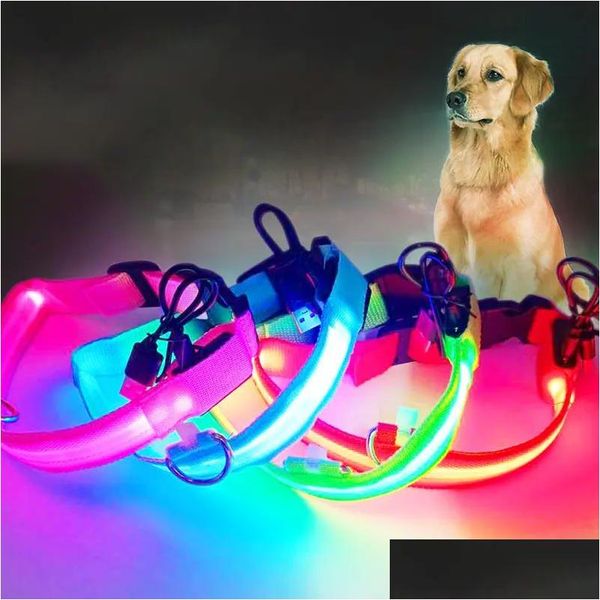 Colares de cães de colmeiras iluminam o colarinho LED USB GLEAT Ajustando o brilho reflexivo brilhando na segurança da noite para o seu dh4qp