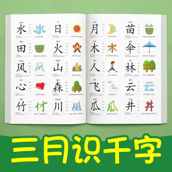 Mats Toddler Pictographic Literacy King Book 1200 Words Children Guarda la carta di riconoscimento dell'immagine puzzle