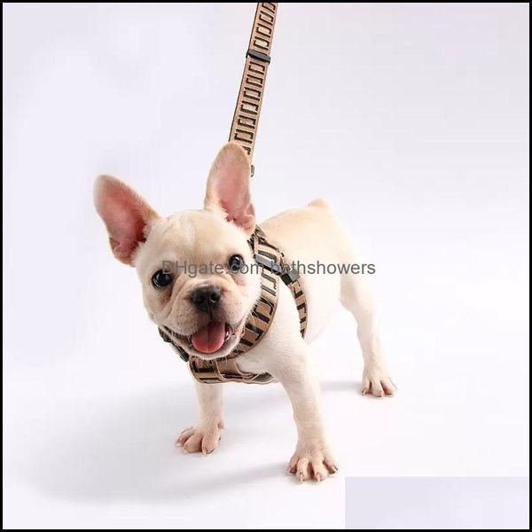 Hundehalsbänder Leinen Fashion Hundekragen Geschirr Leinen Luxus groß