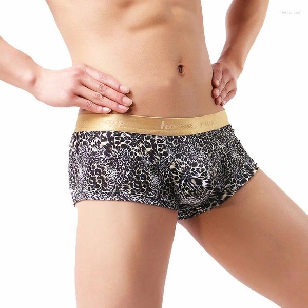 Underpants Gays Fashion Smooth Underwear Signi sexy da uomo convex boxer cortosi giovani ragazzi oro bordo leopardo modello sissy tanas