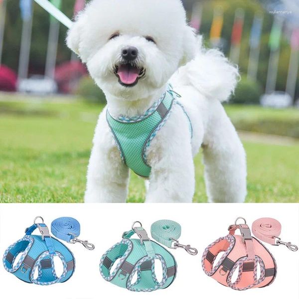 Collari per cani Schedatura da cucciolo riflettente Maglie traspirante e guinzaglio Set per piccoli cani da gatto che cammina con gli accessori per animali domestici