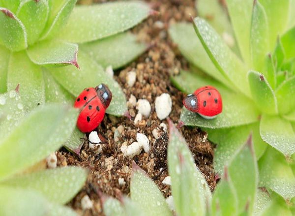 künstliche 10 Stcs Lady Beetle Ornament Garten Miniaturen Gnome Moss Terrarien Handwerk Figuren für Hausgarten Dekor9993133