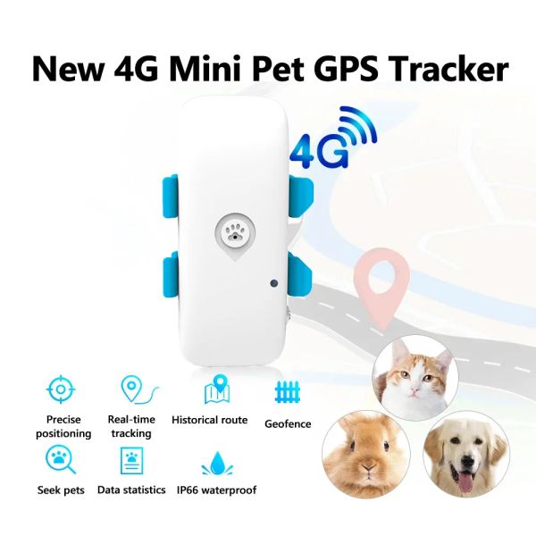 Tracker Nuovo PET GPS Tracker Mini 4G PEZIONE PET POSIZIONE GEOFENCE APP FREE Dog Collar GPS Cat Locart Tracking Alarming GPS Tracciamento GPS