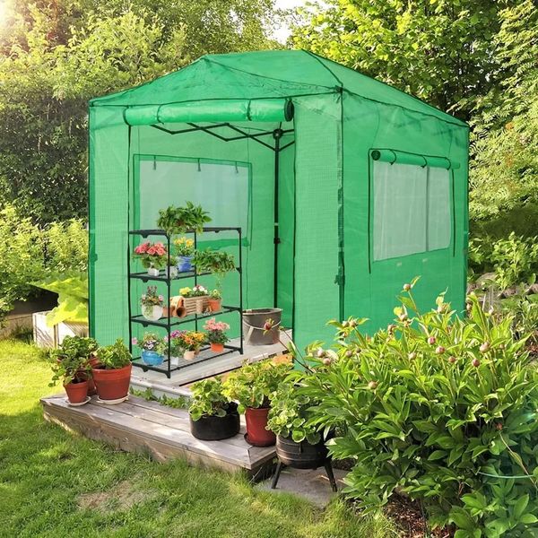 8x6 portátil Walkin Greenhouse Instant Instant Pop -up Indoor Outdoor Plant Gardening Green House Canopy Rollup Zipper portas 240415