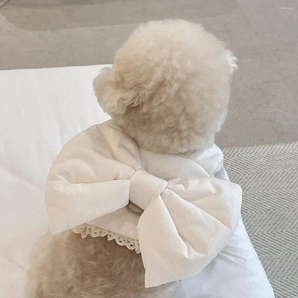 Köpek yakaları Ins sevimli yay evcil göğüs koşum Kış Peluş Sıcak Yelek Çekiş Şapkası Seti Köpek Bichon Teddy Boomerang Malzemeleri