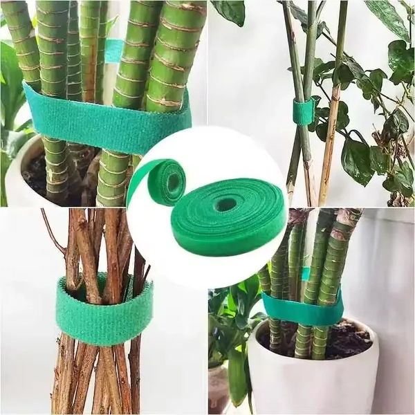 2m Green Garden Twine Ties Ties Nylon Bandage Garden Hook Loop Bamboo Wrap Accessori da giardino Accessori da giardino