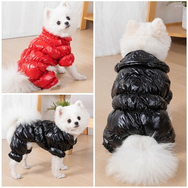 Macacão de vestuário para cães jactaros de jumfs espetados jaqueta de inverno à prova d'água para cães pequenos chihuahua casaco de pelúcia quente roupas yorkie roupas