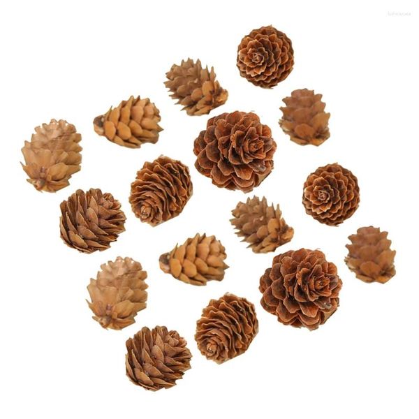 Dekoratif Çiçekler 100 PCS Noel Dekorasyonları Songhwa Po Props Mini Çam Konisi Kurutulmuş Konılar