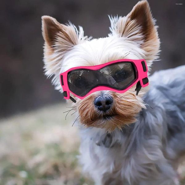 Óculos de sol de roupas de cachorro óculos de proteção UV Vento de poeira de neblina de nevo