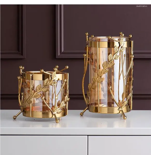 Вазы металлический стеклянный ваза с золотой полой рамой гидропонный цветок