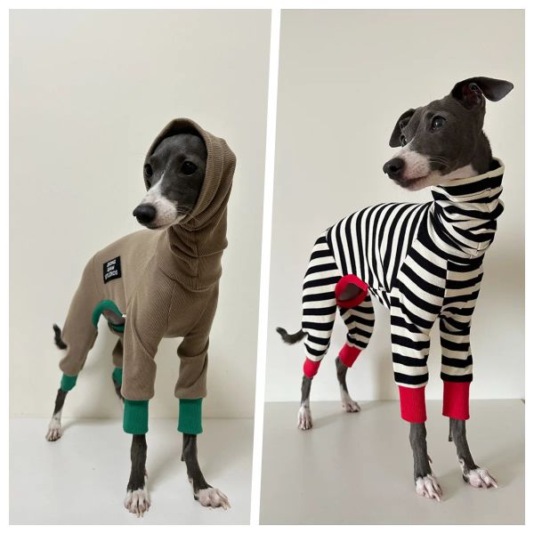 Rompers Greyhound Clothes Inverno tuta a quattro leva per la giacca invernale per la protezione addominale per la protezione addominale