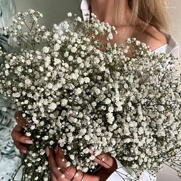 Dekorative Blumen 100g natürliche getrocknete Gypsophila Blume Baby Atemstall Blumenzweige für Wohnkultur Hochzeit Girlande Dekoration