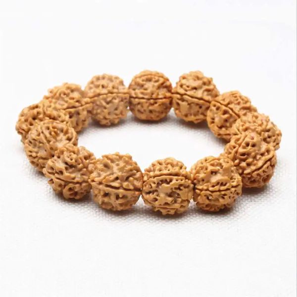 Fios de cinco cabeças Big Rudraksha Bodhi Bracelets para homens de oração budista tibetana Hand Mala Bro853