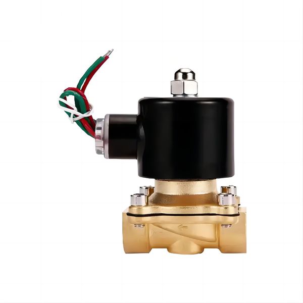 1/8 pollice 2W Valvola di solenoide normalmente chiusa