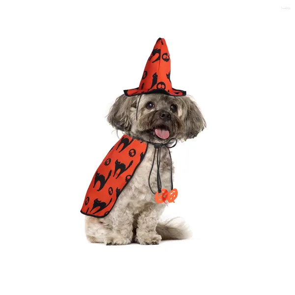 Dog Abbigliamento Poptpop 2pcs Halloween per animali domestici Set di costumi e kit di cappelli Funny Cat Cosplay per feste (dimensioni