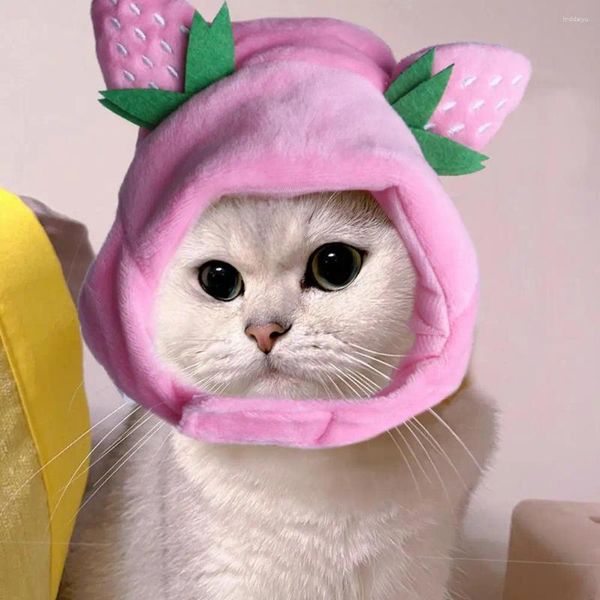 Abbigliamento per cani Cappello per gatto per compagnia Adorabile peluche morbido Tesinaggio a forma di fragole per cosplay PO Puntes Cani