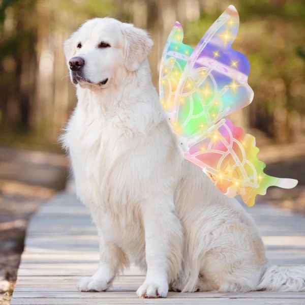 Nutzungen Hunde Elektrische leuchtende Flügel Schmetterling Flügel Fledermausflügel mit LED -Leuchten und Musik für mittlere große Hunde Kleider Cosplay Party Spielzeug neu