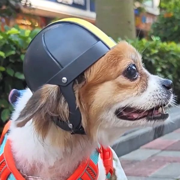Caps Piccolo casco da compagnia con casco per cani per moto per motociclisti auricolari per cani per cani e dropshipping per cani e dropshipping