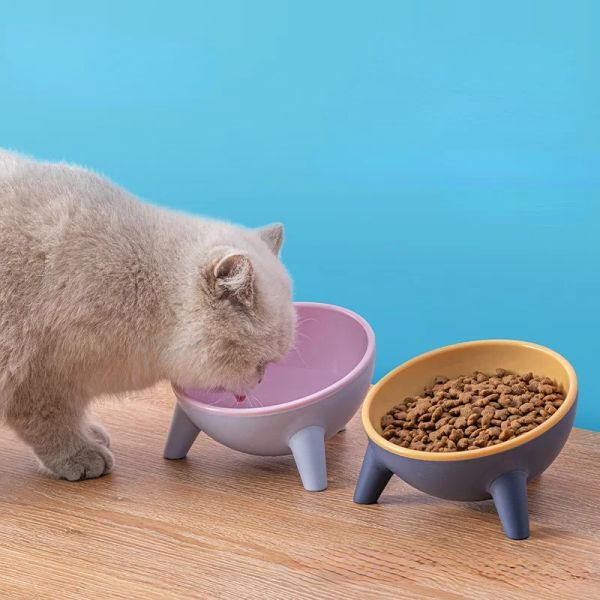 Fütterung multifunktionaler rundes Stativ Pet Bowl Kontrastfarbe Katzenhund Anti -Overturn -Wasserschalen stabil