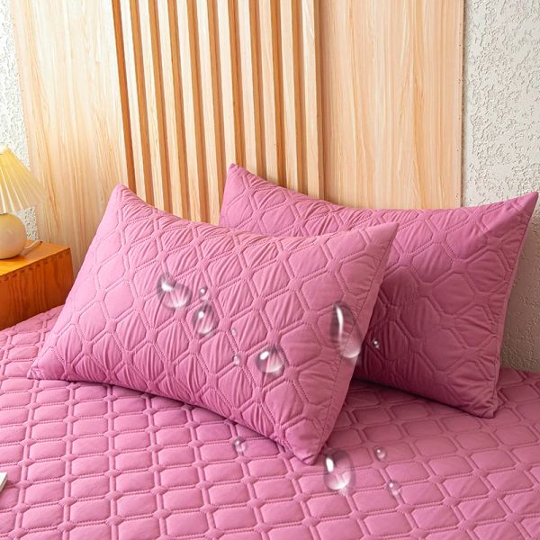 Cuscino 2 pezzi Pizzo impermeabile cuscino anti -macchia lavabile per cuscino per cuscino decorazione camera da letto adatta per bambini e animali domestici