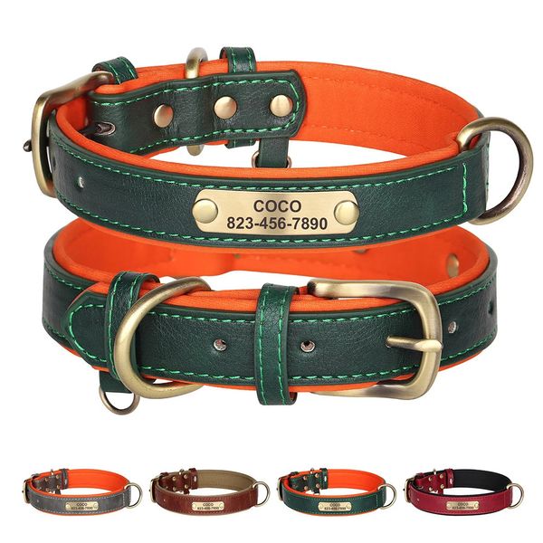 Collaro per cani personalizzato Gueglia personalizzati in pelle personalizzata Collari di nome inciso gratis per piccoli cani di grossa taglia Pitbull 240419