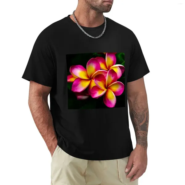 Polos masculinos Plumeria Flor T-shirt pesos pesados meninos estampares animais Kawaii Roupas Mens t camisetas casuais elegantes