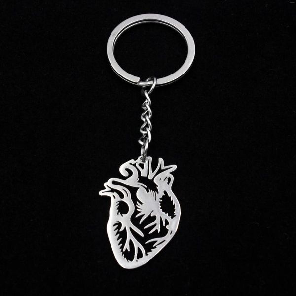 Keychains Moda de aço inoxidável Órgãos de Órgãos de aço de aço Coração de coração Chaços para mulheres Presente de cadeia -chave