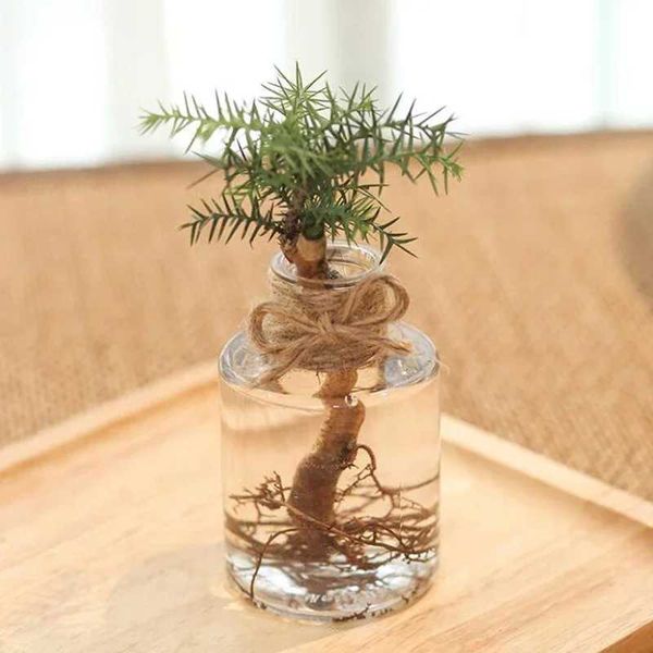 Vasi trasparenti pentola acquatica imitazione vetro piccolo pentola di fiori che pianta mini vaso desktop vegella verde resina vaso all'ingrosso
