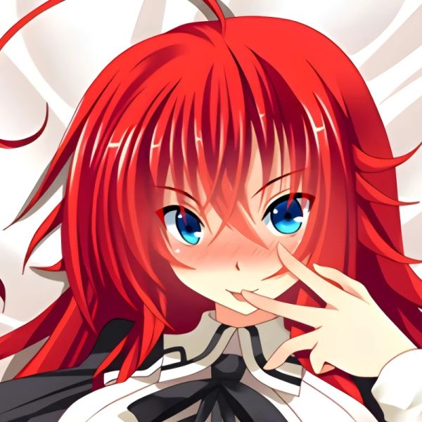 Kissen Dakimakura Anime Rias Gremory Kissen Hülle Doppelbilder Umarmung Ganzkörper dekorativer Kissenbedeckung Hülle Dropshipping