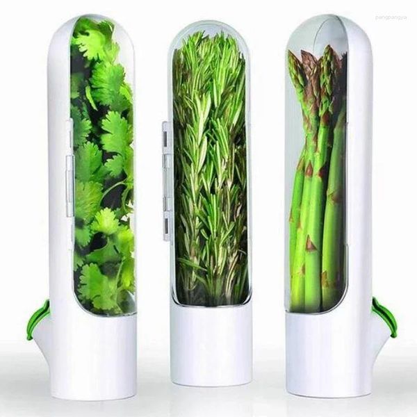 Lagerflaschen Kühlschrank Crisper Saver Pod Container Gemüse Konservingflasche Keep/Koriander/Minze/Petersilie/Spargel frisch