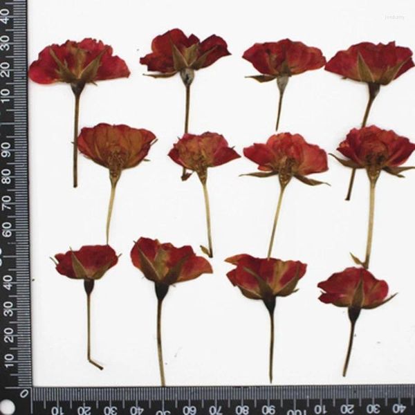 Flores decorativas 120pcs prensados plantas de flores de rosa seca Herbário para jóias de resina, fabricando cartão postal da caixa de telefone Craft DIY