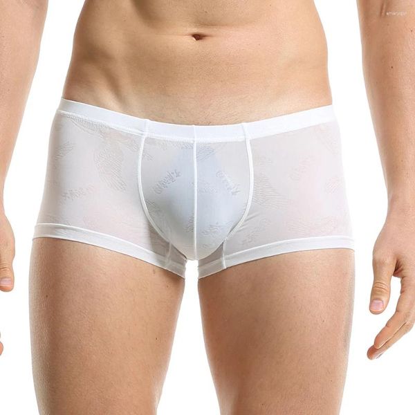 Cueca shorts sexy u convexo bolsa masculina boxeadores de roupas íntimas sólidas lingerie macia respirável respirável