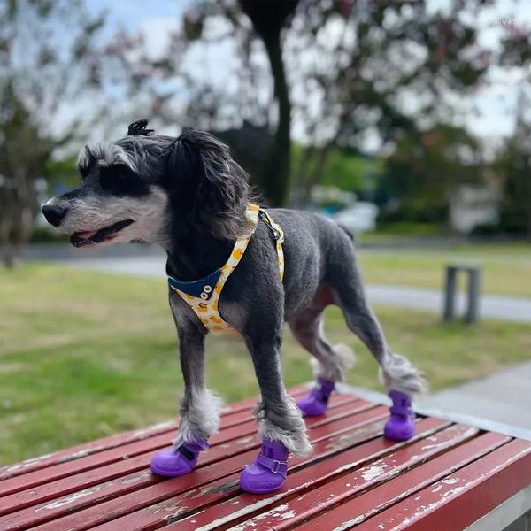 Colarinhos de cachorro chegam botas de chuva de estimação sapatos pequenos chihuahua yorkshire terrier schnauzezer cachorrinho cães acessórios Zapatos perro