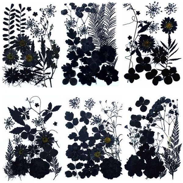 Dekorative Blumen 16pcs/Bag Natur gefärbte Balck geprägte gemischte Blume Leavs Tasche gepresst DIY Dark Style Party Lesezeichen PO PO Rahmen Telefon Hülle