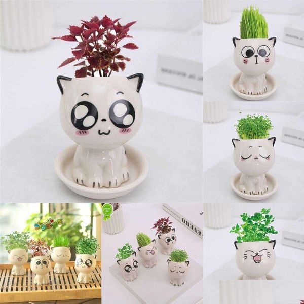 Çiziciler Mini Seramik Flowerpot Karikatür Sevimli Kedi Şeklinde Saksılı Bitki Masaüstü İfade Pot Masası Dekorasyon Küçük Süs Daml D DHT2N