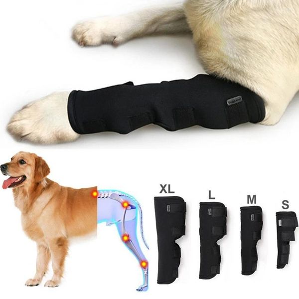 Hundekleidung erholen Beine Joint Wrap Protector Supplies Handgelenk Wache Haustier Kniepunkte Welpenkneepad