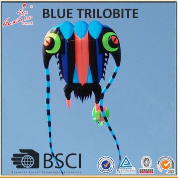 3d 7sqm morbido kite 3D 3D Trilobiti giganti morbidi Kite Sport all'aperto facile da volare270q