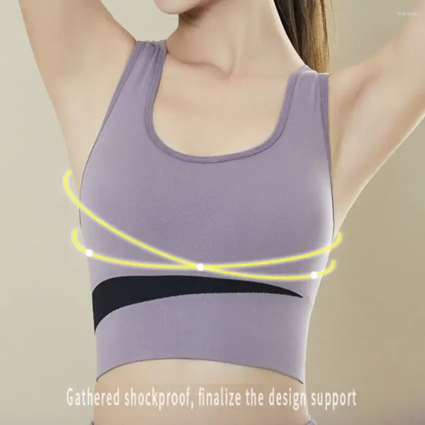 Outfit da yoga M-XXL Donne Sport Bra Sport Sport Sports senza anello traspirato con cuscinetti per la lingerie resistente agli urti