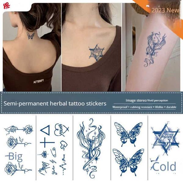 Tattoo Transfer Fruchtsaft Tattoo Handstift halb permanente Kräuterpflanze Frische Mini -Karte einfache temporäre Tattoos Stick Größe 70*120 mm 240427