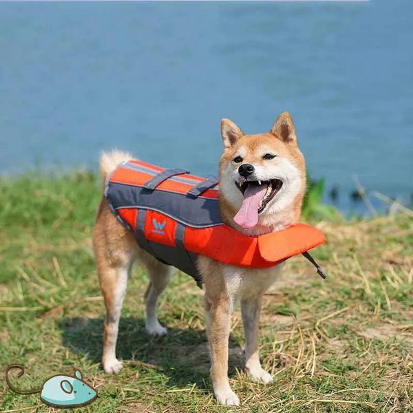 Jaqueta salva -vidas profissional de cachorro aprimorada cães pequenos cães de natação Colete de segurança com alça para surf grande e médio 240425