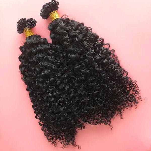Utip Hair Hair Malaysian Remy Humano Pré -unha Dica em 100 fios por pacote 240419