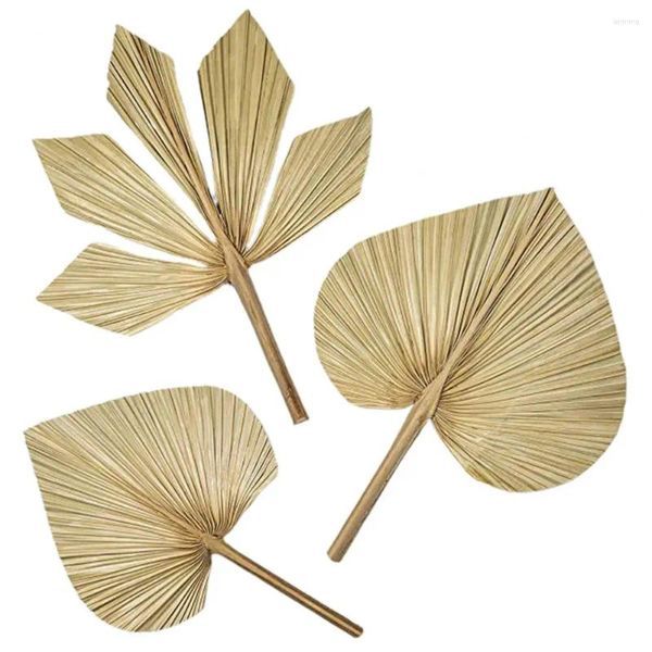 Dekorative Blumen Home Dekoration Fan natürliches Palm tropisches Blatt für rustikale Boho Hochzeitsfeier Innen im Freien