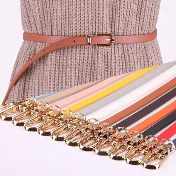 Cinture stretch cintura da donna in vita in vita sottile cintura per fibbia per la donna abbigliamento abito accessori stile 2024