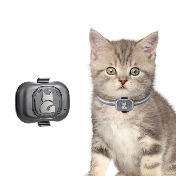 Equipamento Impermeável IP67 120g Pets Wi -Fi lbs SIM Cartão GPS GPS Collar Collar Antilost Locor de rastreamento de animais de rastreamento de gato cachorro