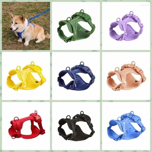 Collari per cani giubbotti riflettente giubbotto traspirante Chihuahua Anti Breakaway Candy Color Cuppy Abiti