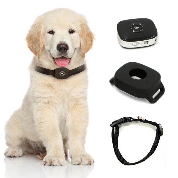 Aksesuarlar 4G GPS PET Tracker Akıllı GPS Bulucu Köpek Konum Tracker 4G LTE Kapsamı Dünya Çapında Su Geçirmez Antilost Pet Yaka Cihaz