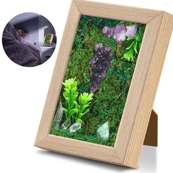 Quadros 5x7 quadro de imagem de madeira com amethyst decoração de cluster criativo Po Exibir a vegetação da floresta exclusiva