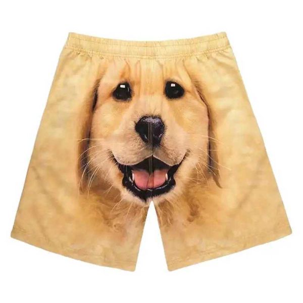 Shorts masculinos shorts shorts maiô de verão cães impressão divertida praia q240427