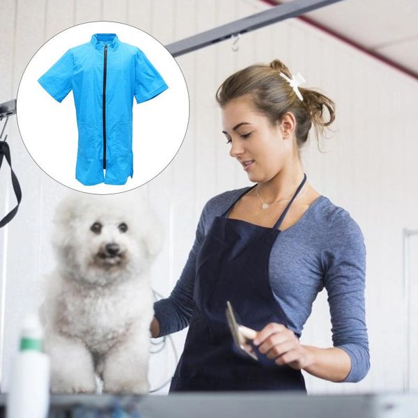 Vestuário para cães se preparando com roupas de trabalho de macacão com zíper para o salão azul